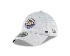 Baltimore Ravens New Era Grey 2020 Sideline Official – 39THIRTY Flex Hat