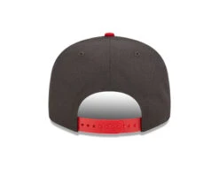 Toronto Raptors New Era Two-Tone Color Pack 9FIFTY Snapback Hat – Charcoal/Red -SportsCloset Clothing 60278137 9FIFTY 9502TCLRPCK TORRAP STCSCA R