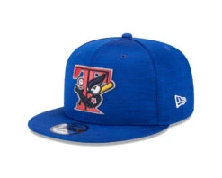 Toronto Blue Jays New Era 2023 Alternate Clubhouse Cooperstown 9FIFTY Adjustable Snapback Hat – Royal