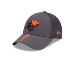 BC Lions New Era 2024 Official Sideline 9FORTY Stretch Snap Adjustable Hat – Graphite