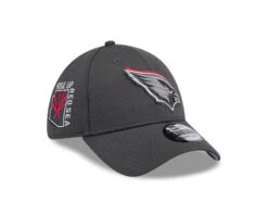 Arizona Cardinals New Era 2024 NFL Draft Official 39THIRTY Flex Hat – Grey