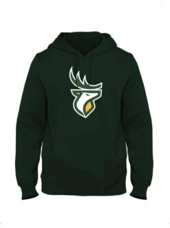Men’sEdmonton Elks Bulletin Green Basic Team Logo Fleece Hoodie
