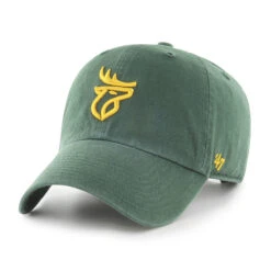 '47 BRAND Edmonton Elks ’47 Brand Green Clean Up Adjustable Hat